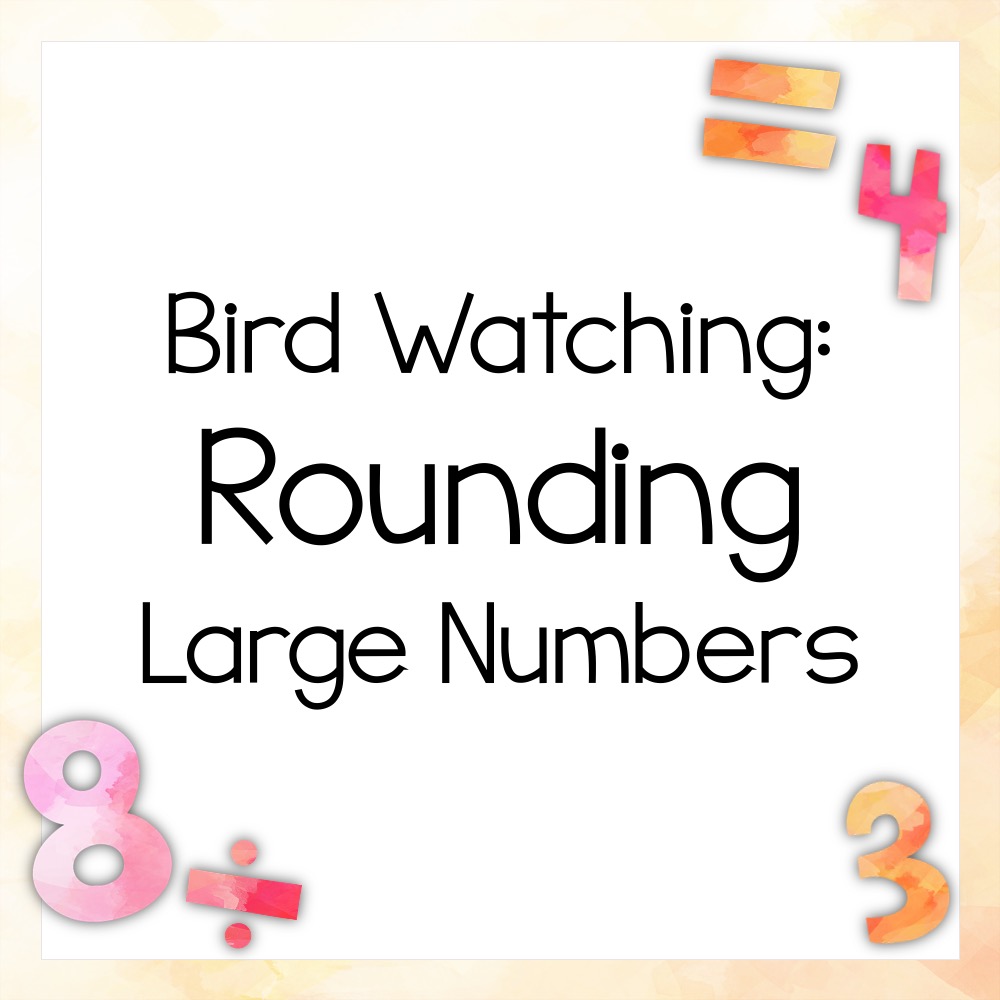 Bird Watching: Round Large Numbers